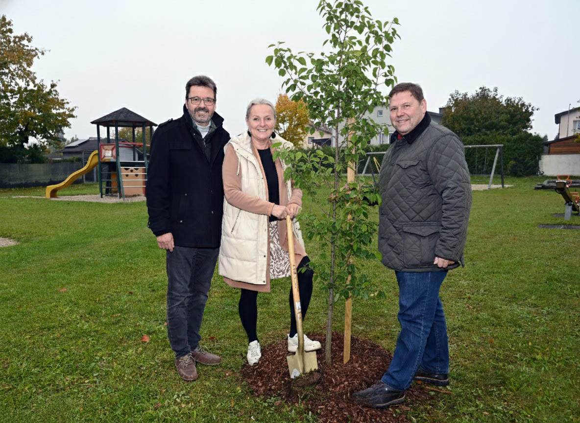 Bürgermeister Gerhard Lentschig, StR Maria van Dyck und Wirtschaftshofleiter Johannes Strommer vor einem der neuen Bäume. Foto: Gabriele Hohenegger